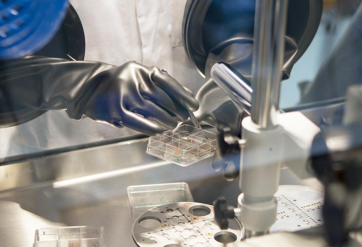JACOMEX supplier of Aledia, rated top startup of the French-Tech of the week by La Tribune