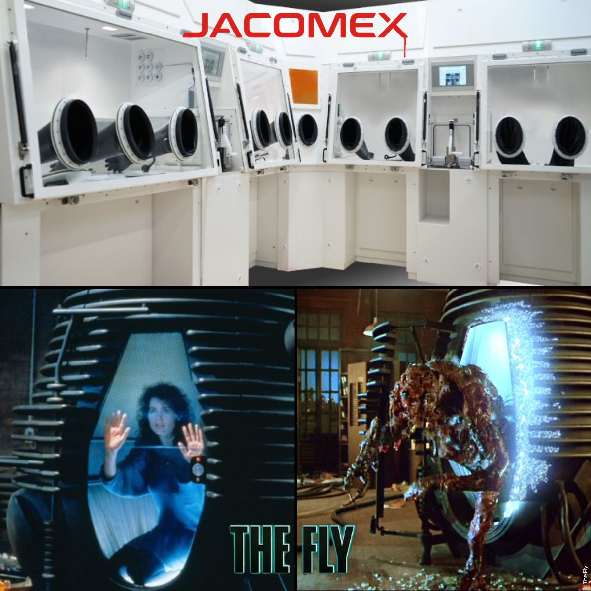 Jacomex wishes you a scary Halloween!
