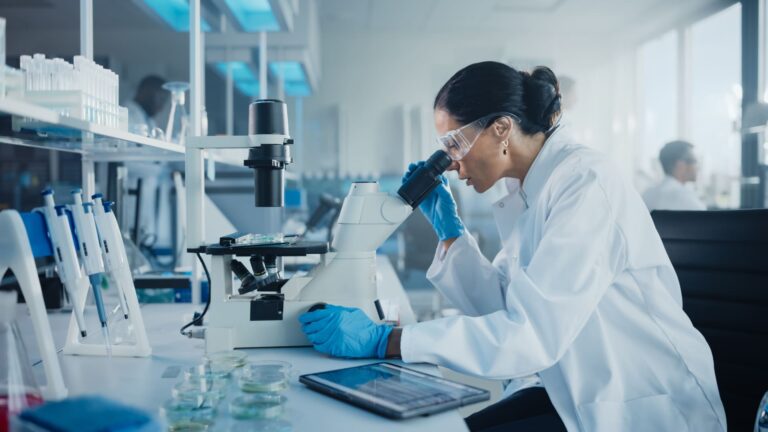 Química is one of the main application fields for PureEvo glove box